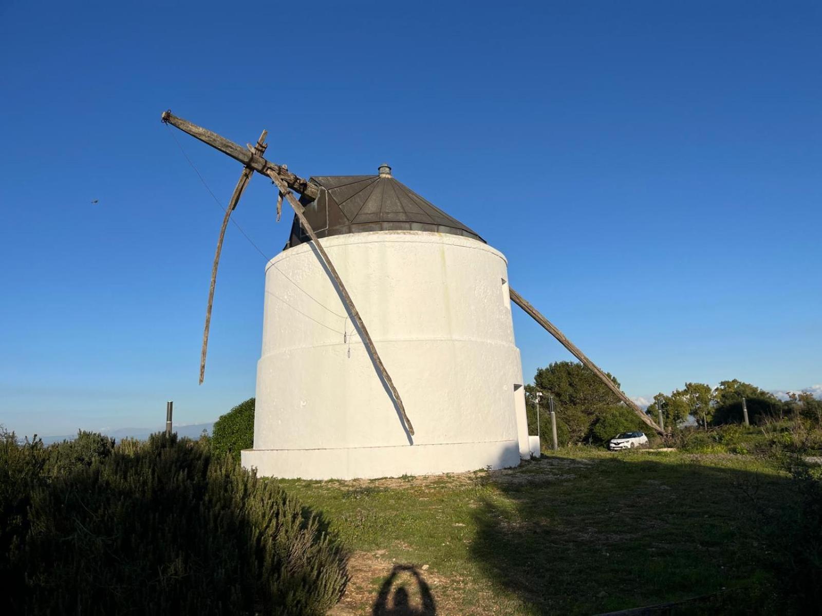 Estudio Los Mellis Vejer de la Frontera Bagian luar foto